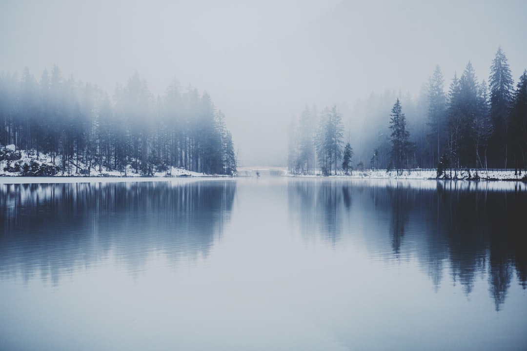 Photo Winter landscape